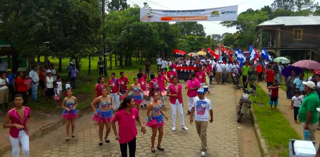 reforesta1